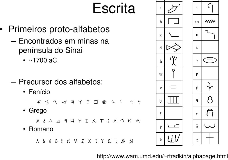 Escrita Precursor dos alfabetos: Fenício