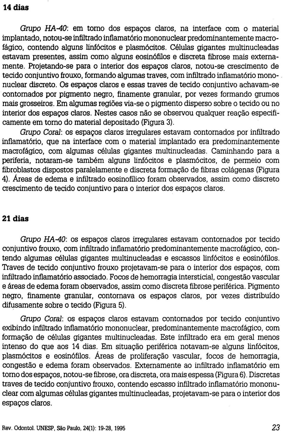 Projetando-se para o interior dos espaços claros, notou-se crescimento de tecido conjuntivo frouxo, formando algumas traves, com infiltrado inflamatório mononuclear discreto.