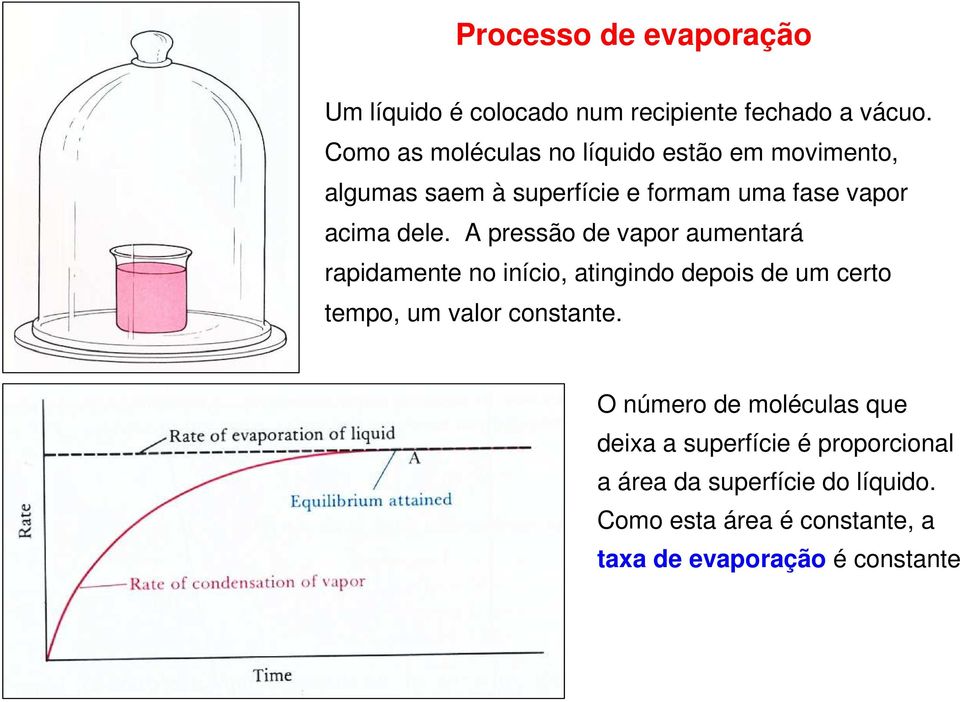 A pressão de vapor aumentará rapidamente no início, atingindo depois de um certo tempo, um valor constante.