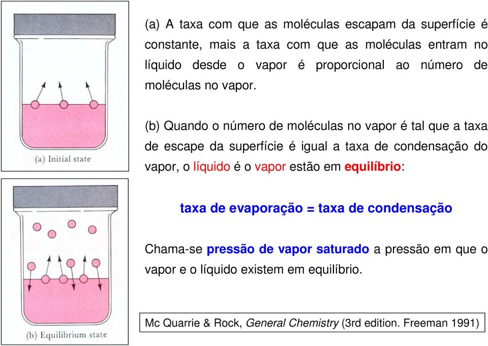 (b) Quando o número de moléculas no vapor é tal que a taxa de escape da superfície é igual a taxa de condensação do vapor, o líquido é