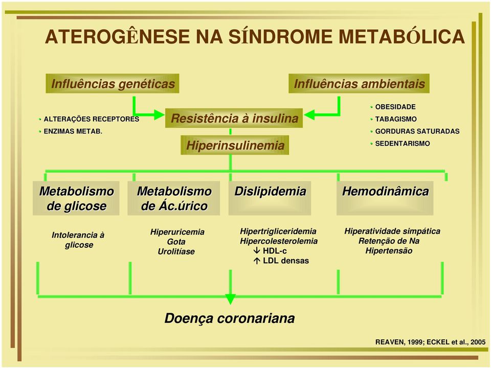 Metabolismo de Ác.