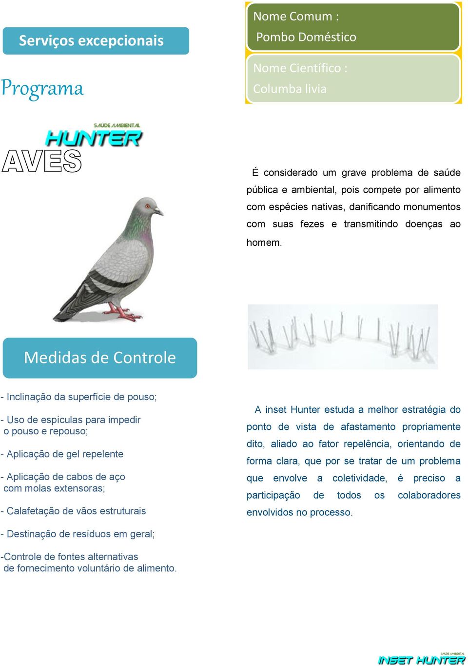 Medidas de Controle - Inclinação da superfície de pouso; - Uso de espículas para impedir o pouso e repouso; - Aplicação de gel repelente - Aplicação de cabos de aço com molas extensoras; -