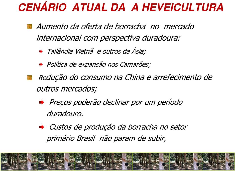 Redução do consumo na China e arrefecimento de outros mercados; Preços poderão declinar por