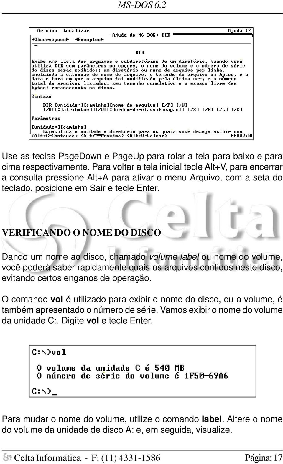 VERIFICANDO O NOME DO DISCO Dando um nome ao disco, chamado volume label ou nome do volume, você poderá saber rapidamente quais os arquivos contidos neste disco, evitando certos enganos de