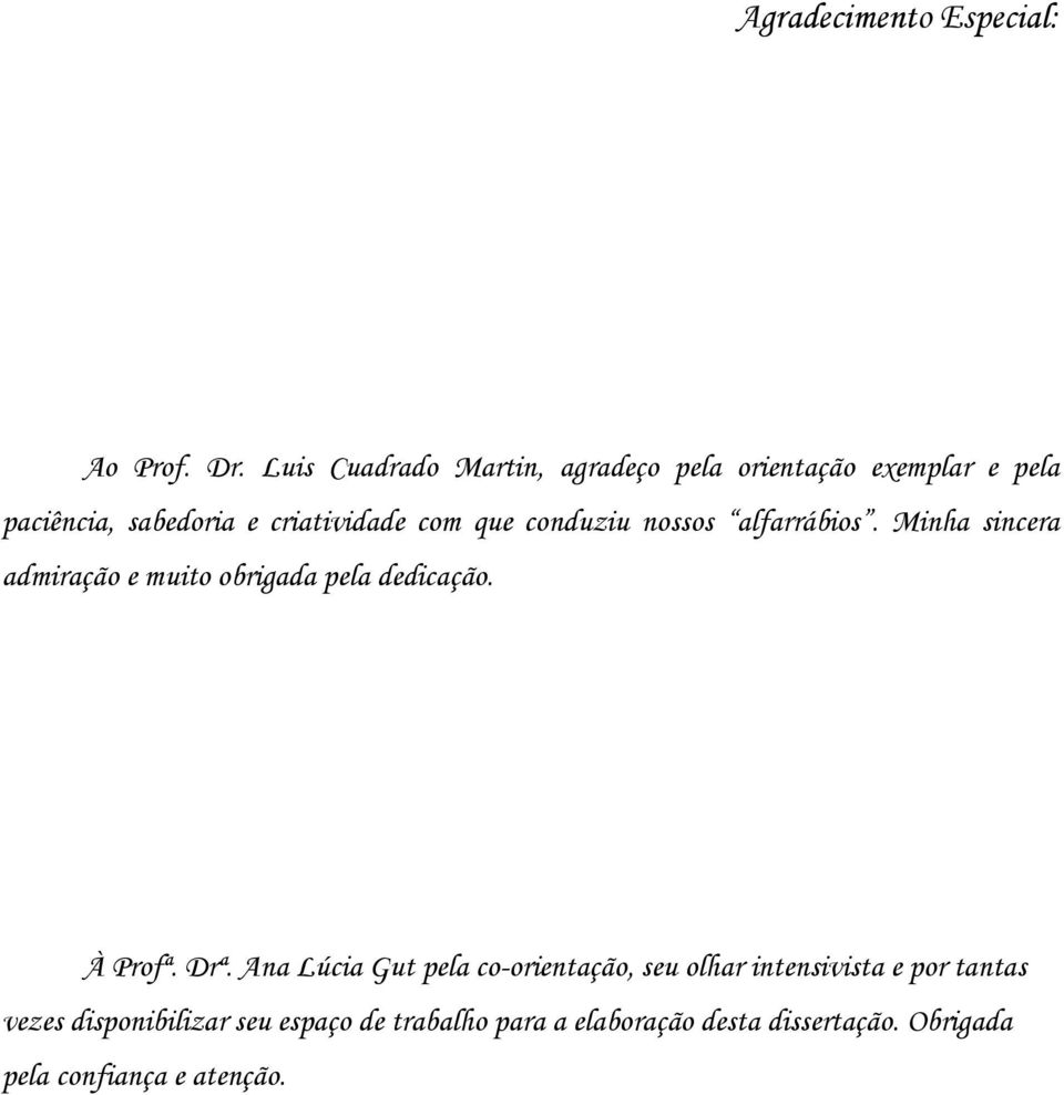 conduziu nossos alfarrábios. Minha sincera admiração e muito obrigada pela dedicação. À Profª. Drª.