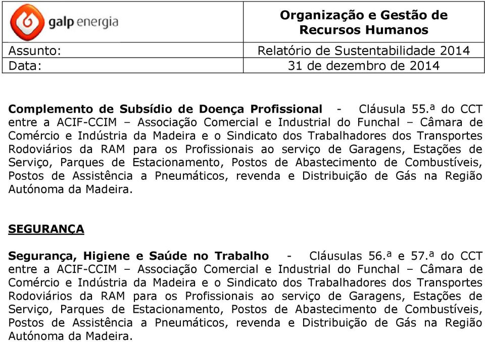 Profissionais ao serviço de Garagens, Estações de Serviço, Parques de Estacionamento, Postos de Abastecimento de Combustíveis, Postos de Assistência a Pneumáticos, revenda e Distribuição de Gás na