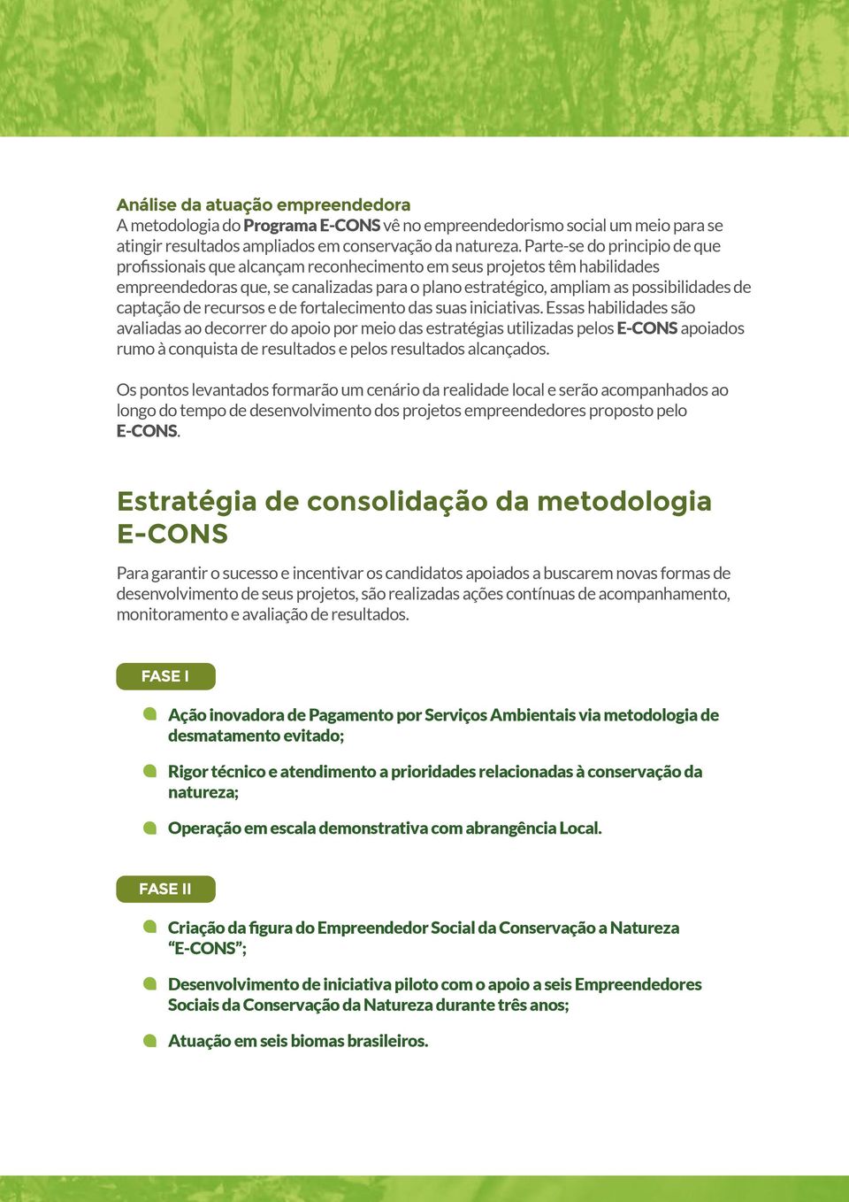 captação de recursos e de fortalecimento das suas iniciativas.