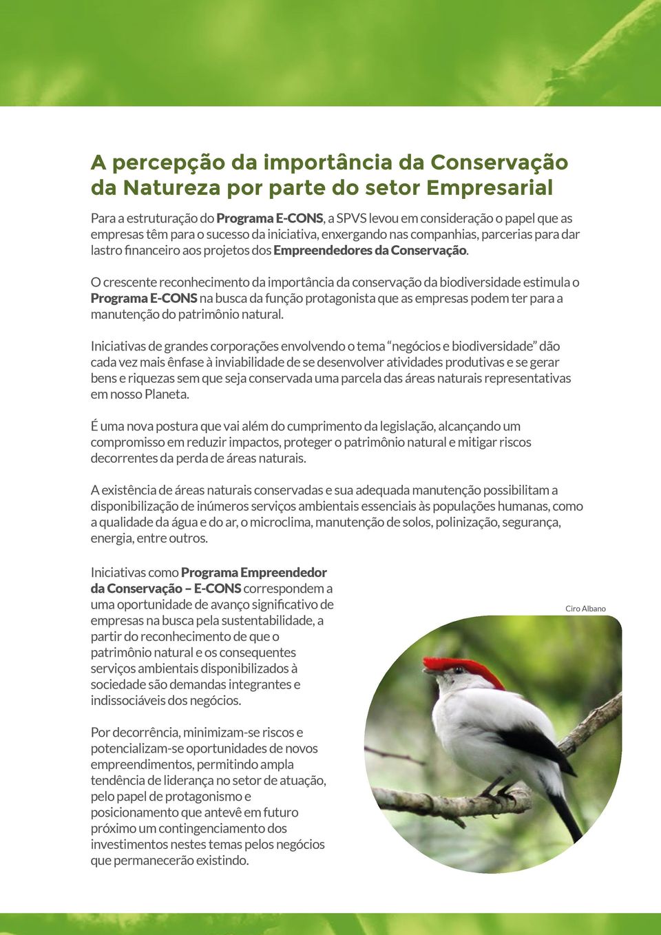 O crescente reconhecimento da importância da conservação da biodiversidade estimula o Programa E-CONS na busca da função protagonista que as empresas podem ter para a manutenção do patrimônio natural.
