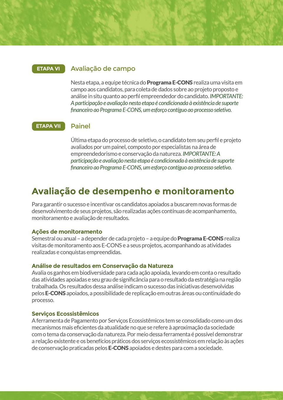 ETAPA VII Painel Última etapa do processo de seletivo, o candidato tem seu perfil e projeto avaliados por um painel, composto por especialistas na área de empreendedorismo e conservação da natureza.