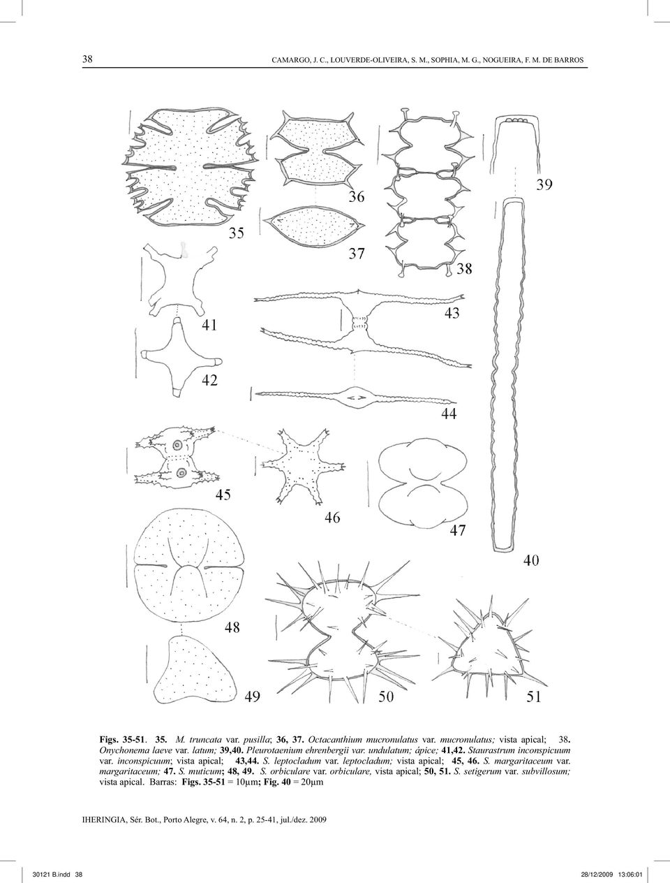 Staurastrum inconspicuum var. inconspicuum; vista apical; 43,44. S. leptocladum var. leptocladum; vista apical; 45, 46. S. margaritaceum var. margaritaceum; 47. S. muticum; 48, 49.