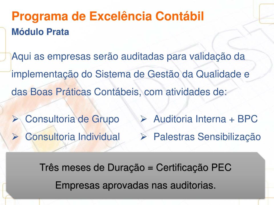Consultoria de Grupo Consultoria Individual Auditoria Interna + BPC Palestras