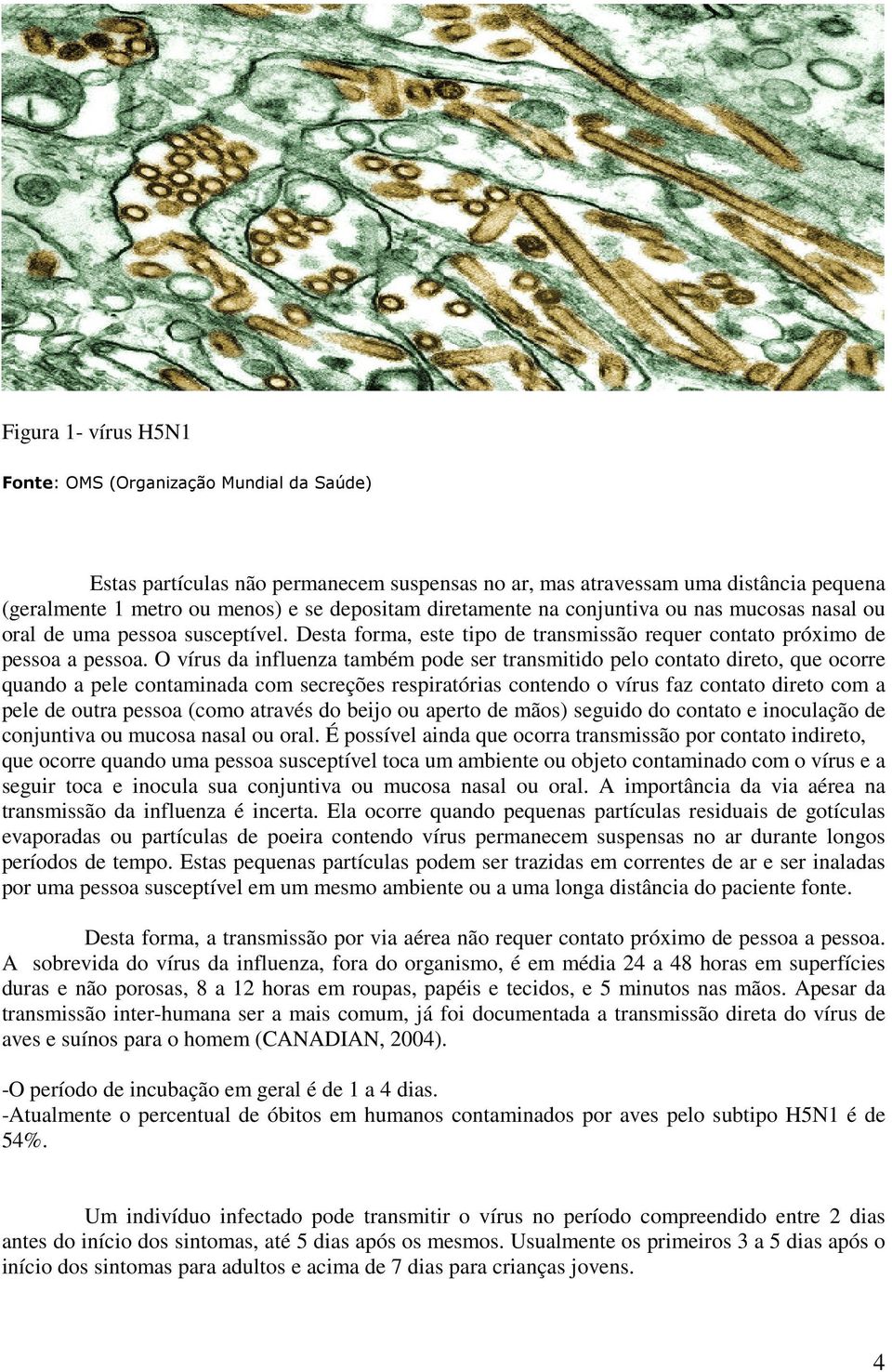 O vírus da influenza também pode ser transmitido pelo contato direto, que ocorre quando a pele contaminada com secreções respiratórias contendo o vírus faz contato direto com a pele de outra pessoa