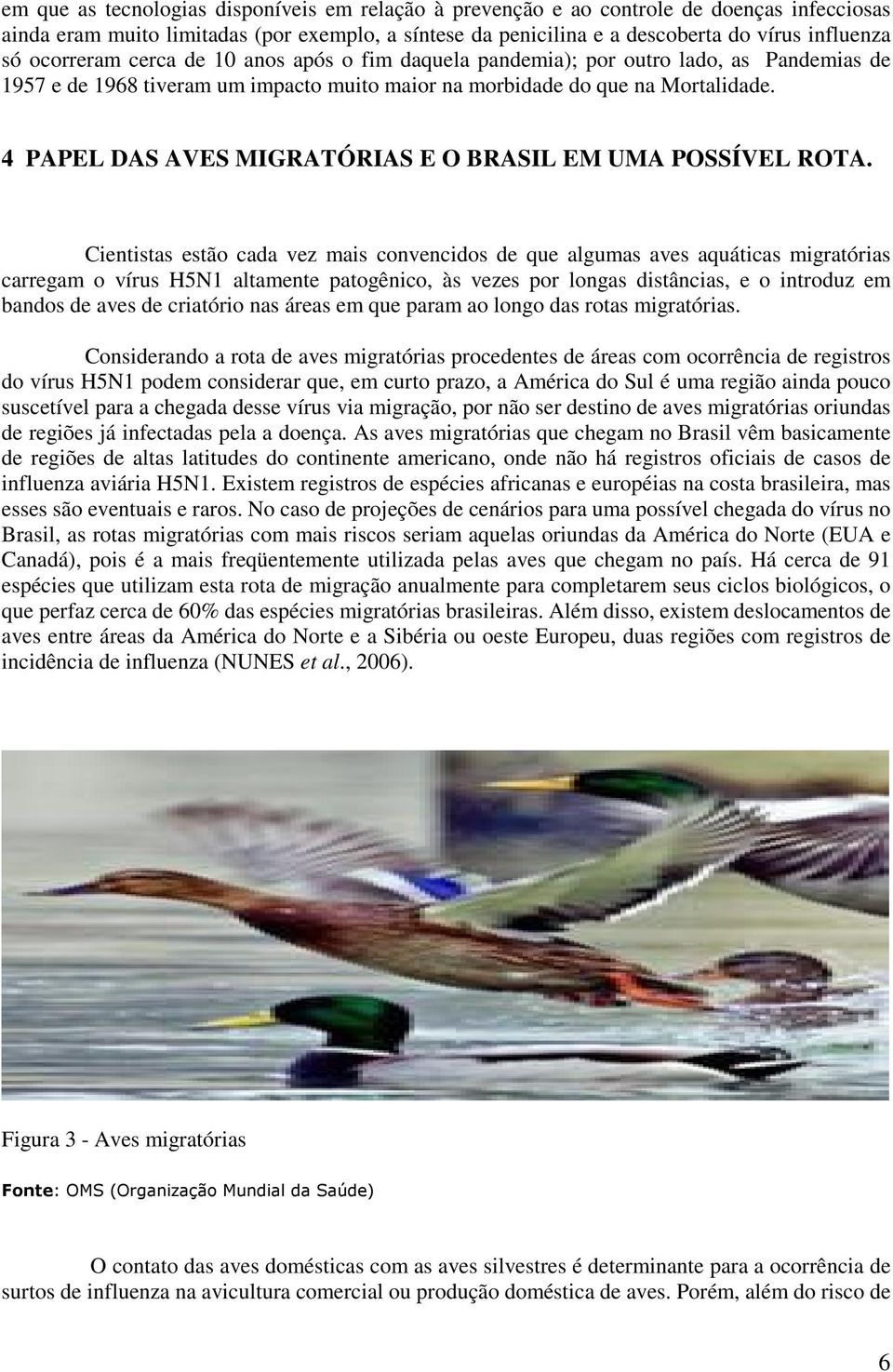 4 PAPEL DAS AVES MIGRATÓRIAS E O BRASIL EM UMA POSSÍVEL ROTA.