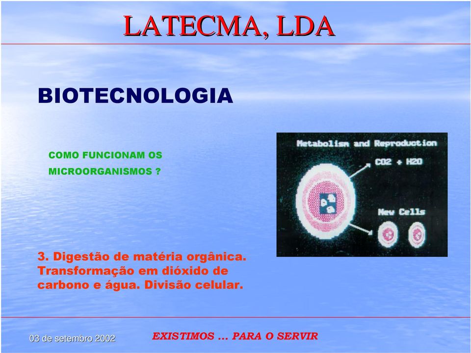 Digestão de matéria orgânica.