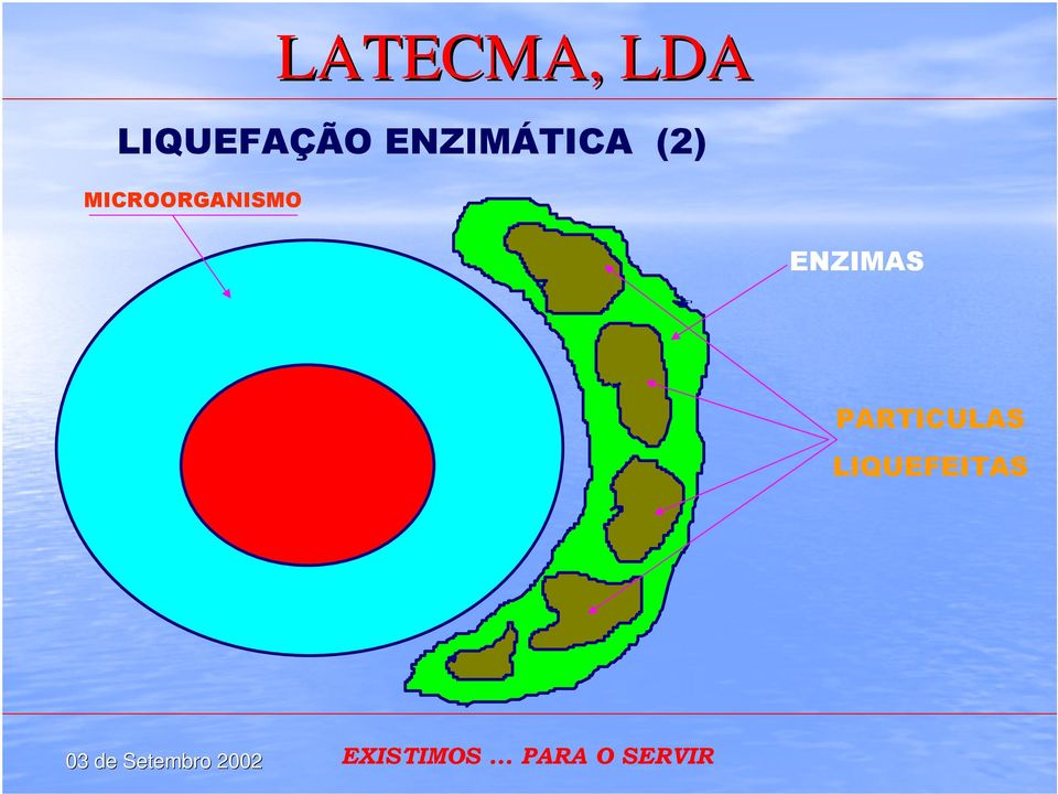 MICROORGANISMO