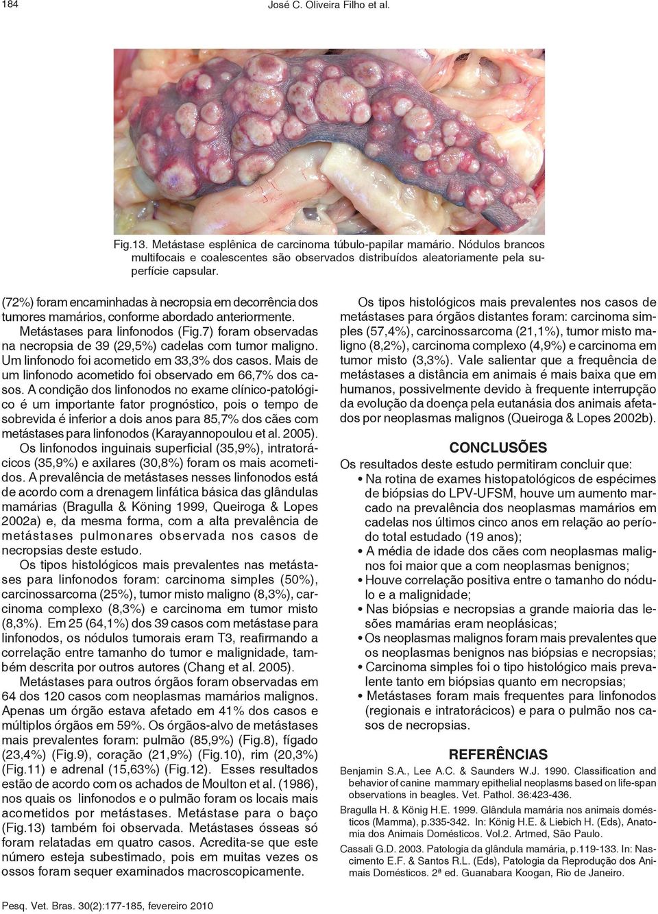 (72%) foram encaminhadas à necropsia em decorrência dos tumores mamários, conforme abordado anteriormente. Metástases para linfonodos (Fig.