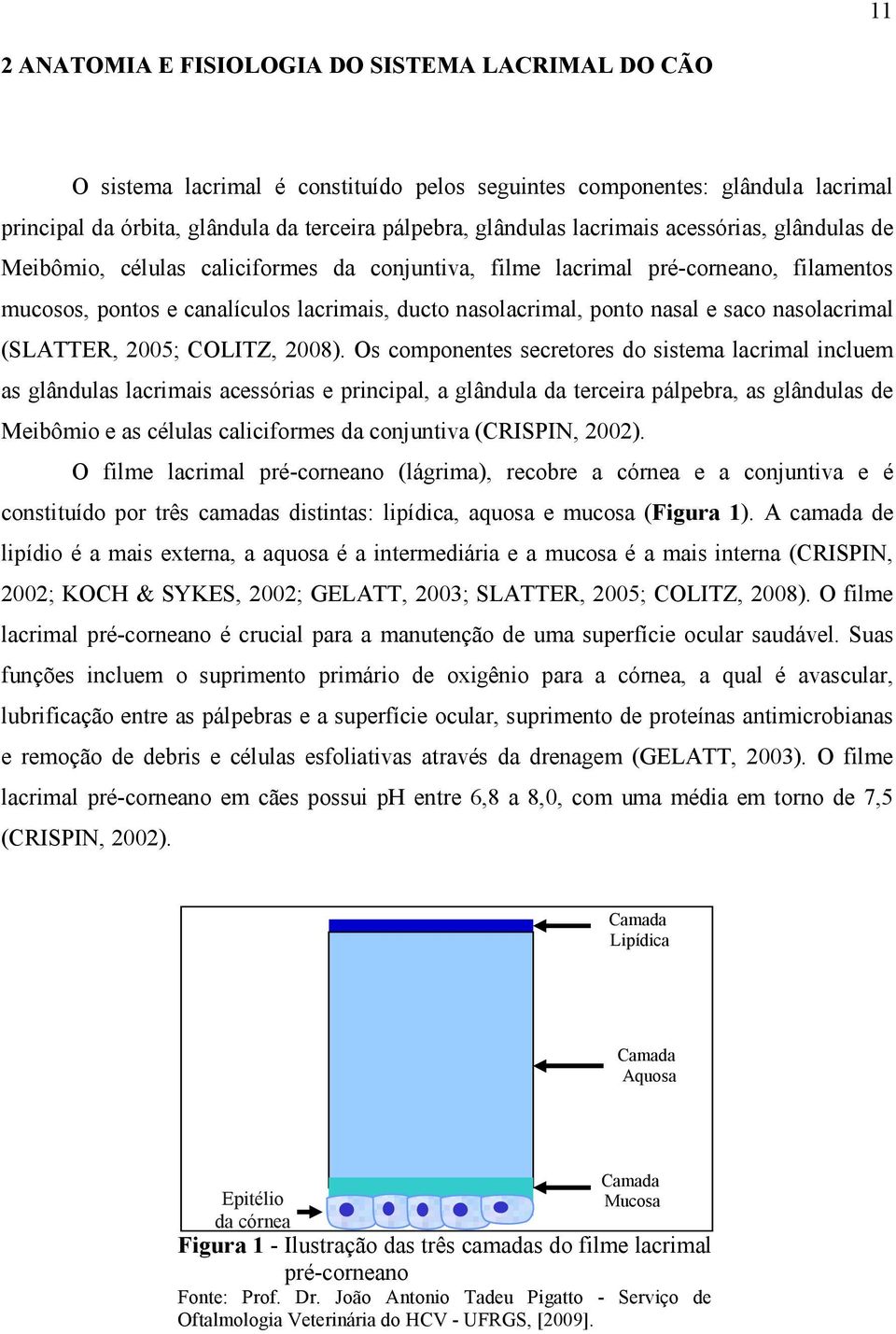 saco nasolacrimal (SLATTER, 2005; COLITZ, 2008).