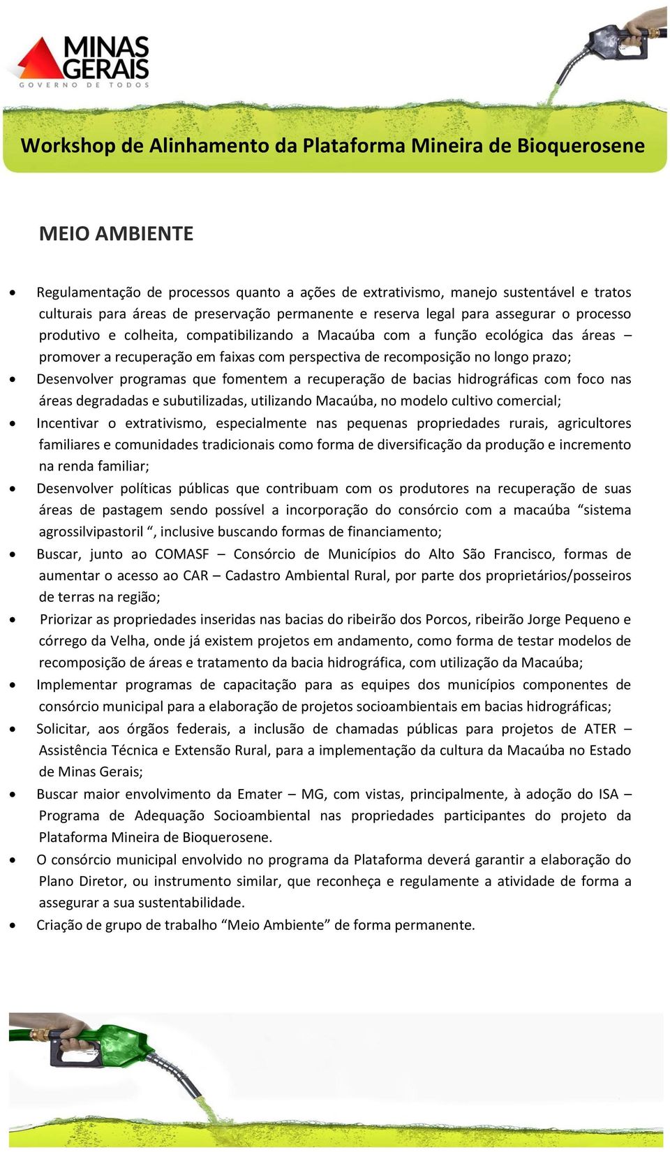 recuperação de bacias hidrográficas com foco nas áreas degradadas e subutilizadas, utilizando Macaúba, no modelo cultivo comercial; Incentivar o extrativismo, especialmente nas pequenas propriedades