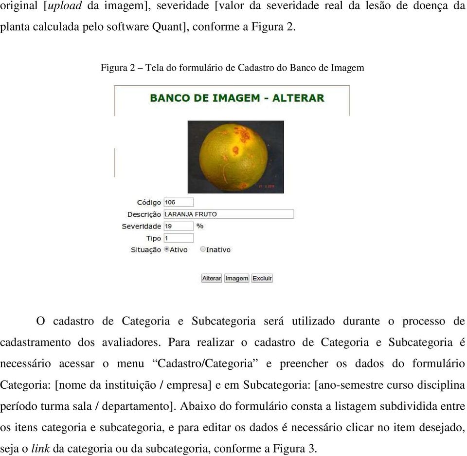 Para realizar o cadastro de Categoria e Subcategoria é necessário acessar o menu Cadastro/Categoria e preencher os dados do formulário Categoria: [nome da instituição / empresa] e em Subcategoria: