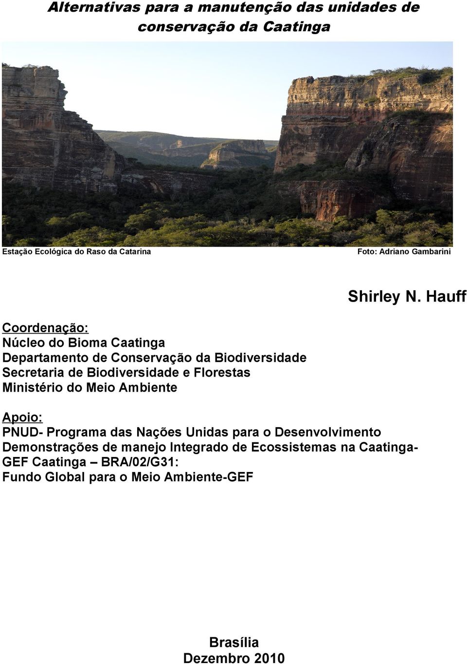 Hauff Coordenação: Núcleo do Bioma Caatinga Departamento de Conservação da Biodiversidade Secretaria de Biodiversidade e