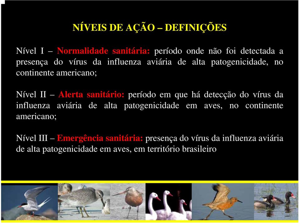 detecção do vírus da influenza aviária de alta patogenicidade em aves, no continente americano; Nível III