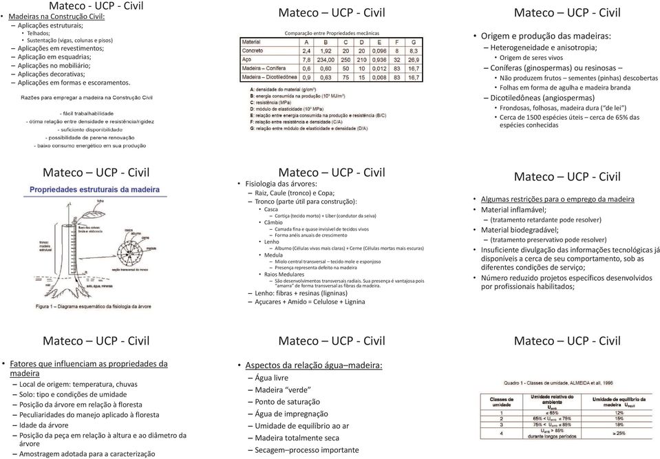 Comparação entre Propriedades mecânicas Origem e produção das madeiras: Heterogeneidade e anisotropia; Origem de seres vivos Coníferas (ginospermas) ou resinosas Não produzem frutos sementes (pinhas)