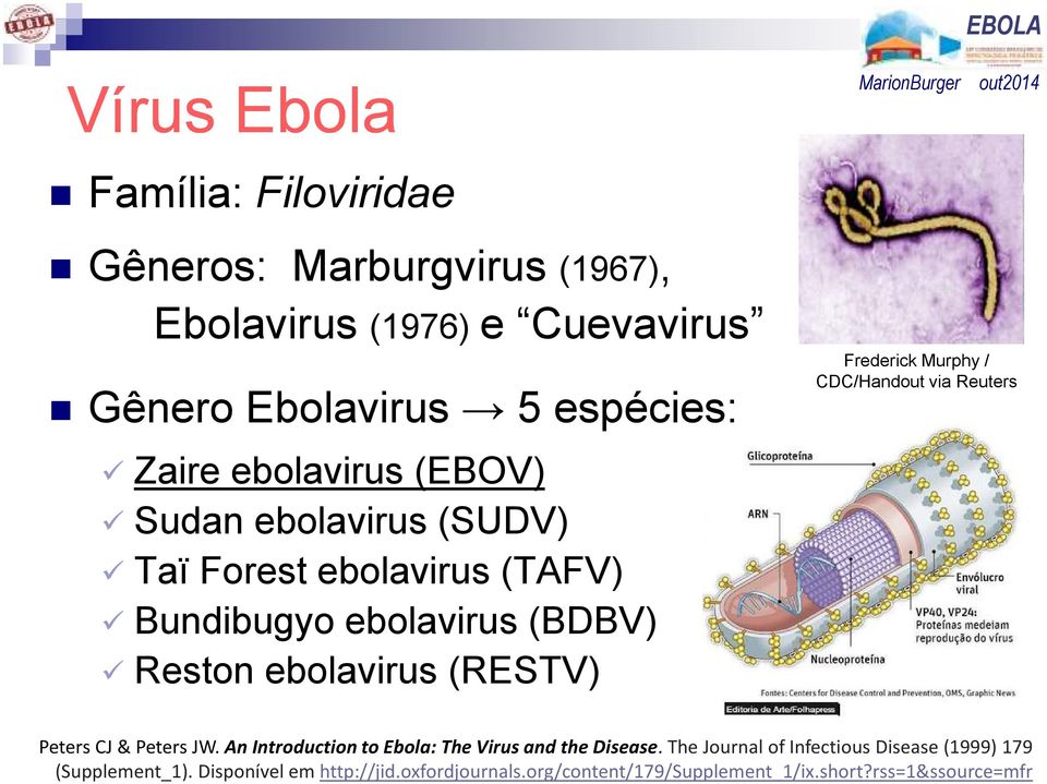 Frederick Murphy / CDC/Handout via Reuters Peters CJ & Peters JW. An Introduction to Ebola: The Virus and the Disease.