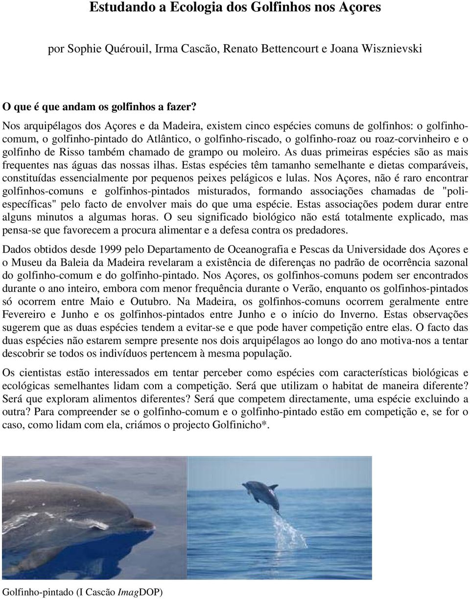 golfinho de Risso também chamado de grampo ou moleiro. As duas primeiras espécies são as mais frequentes nas águas das nossas ilhas.