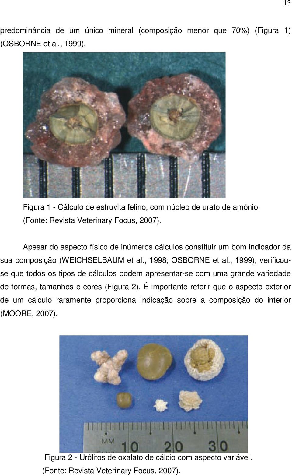 , 1999), verificouse que todos os tipos de cálculos podem apresentar-se com uma grande variedade de formas, tamanhos e cores (Figura 2).