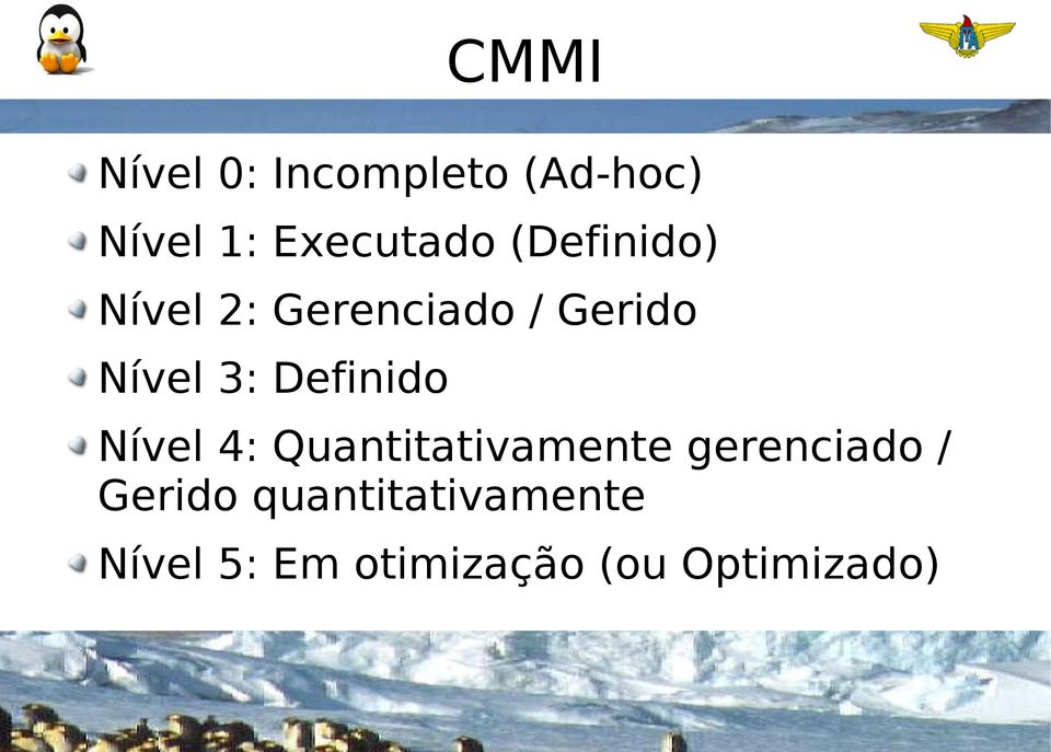 Definido Nível 4: Quantitativamente gerenciado /