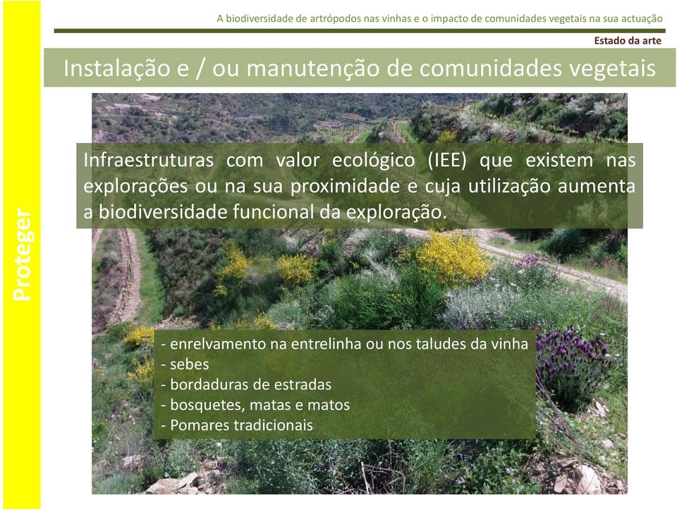 utilização aumenta a biodiversidade funcional da exploração.