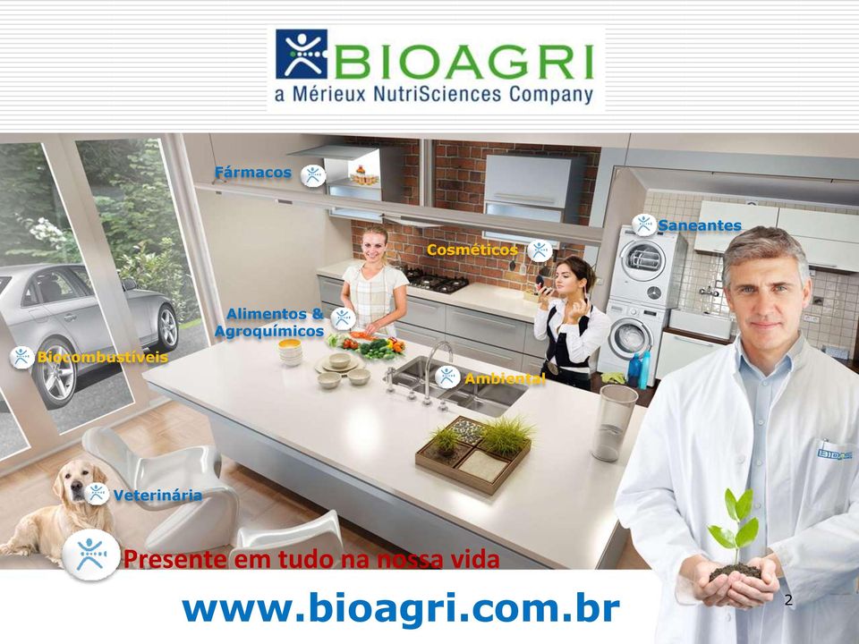 Biocombustíveis Ambiental