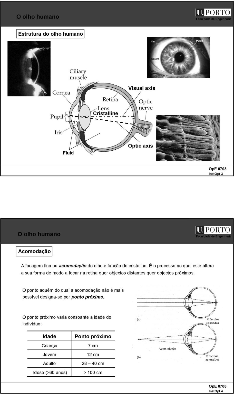 É o processo no qual este altera a sua orma de modo a ocar na retina quer objectos distantes quer objectos próximos.