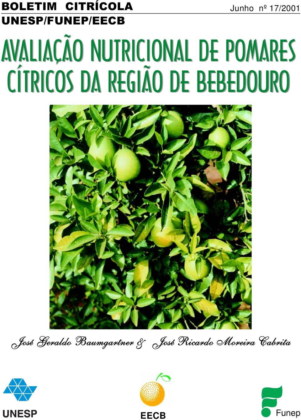 CÍTRICOS DA REGIÃO DE BEBEDOURO José Geraldo