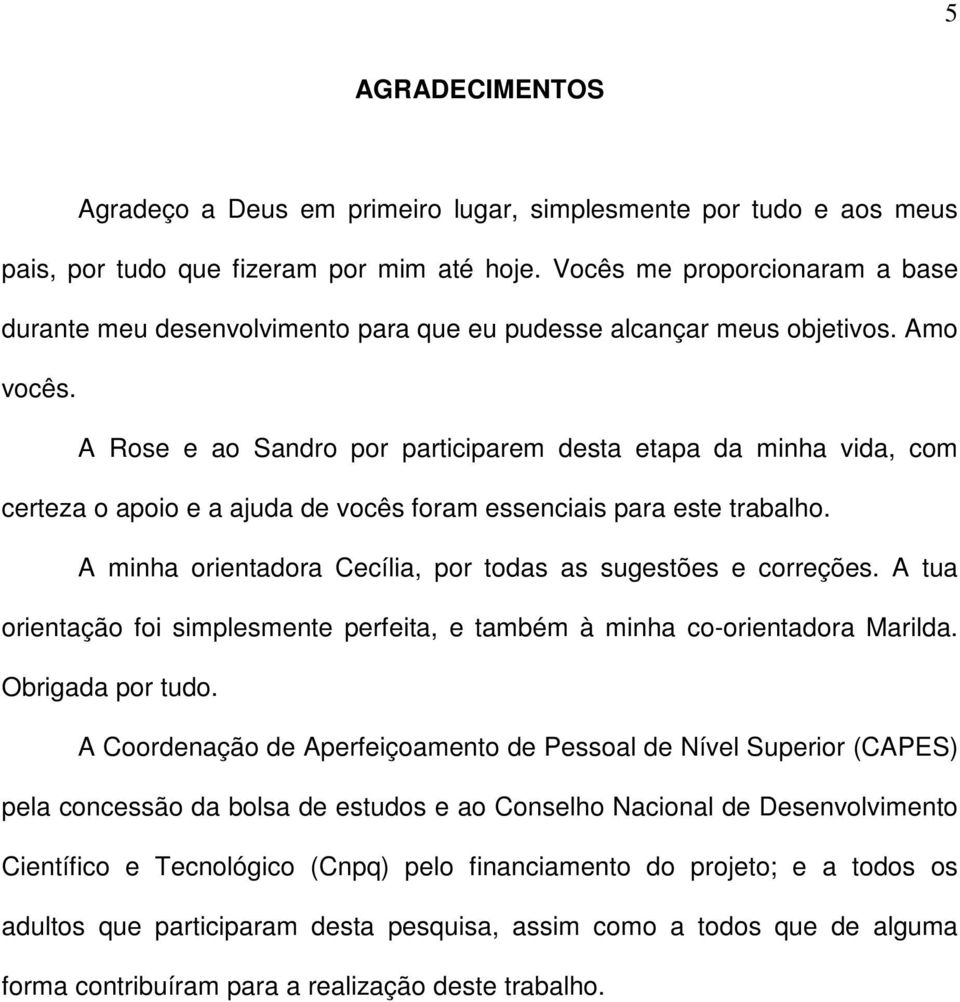 A Rose e ao Sandro por participarem desta etapa da minha vida, com certeza o apoio e a ajuda de vocês foram essenciais para este trabalho.