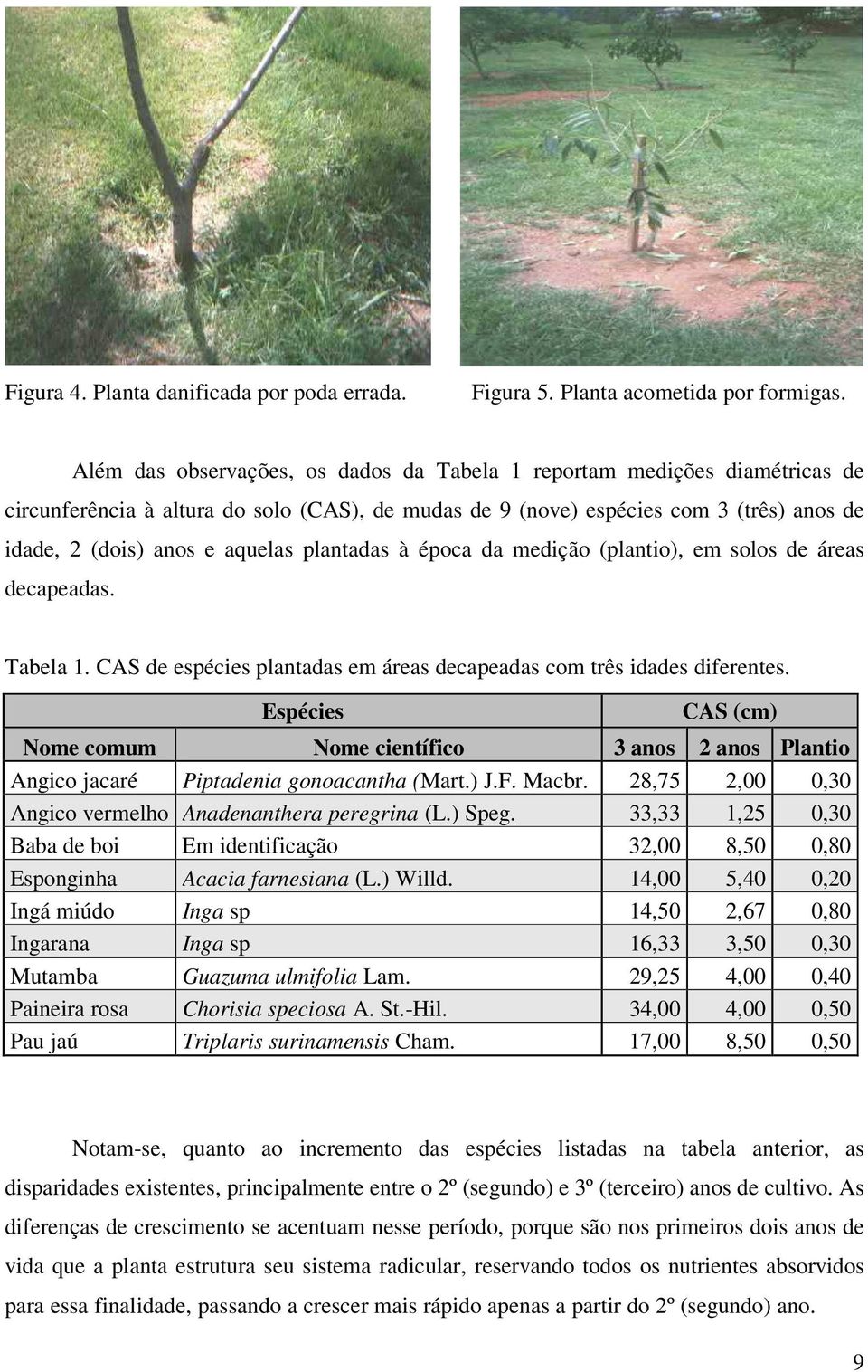 plantadas à época da medição (plantio), em solos de áreas decapeadas. Tabela 1. CAS de espécies plantadas em áreas decapeadas com três idades diferentes.