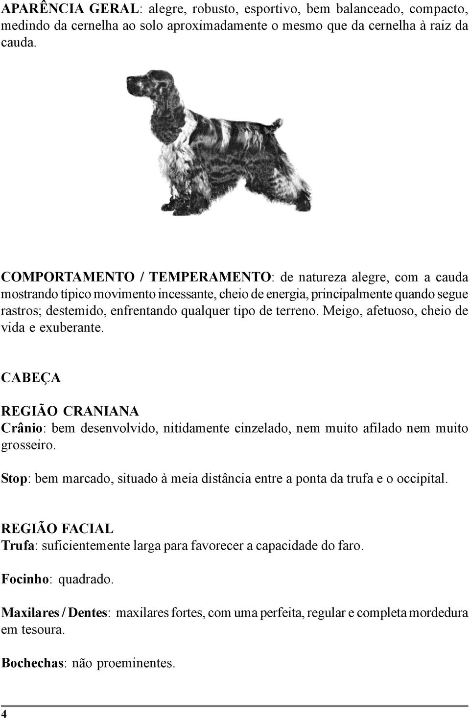 terreno. Meigo, afetuoso, cheio de vida e exuberante. CABEÇA REGIÃO CRANIANA Crânio: bem desenvolvido, nitidamente cinzelado, nem muito afilado nem muito grosseiro.