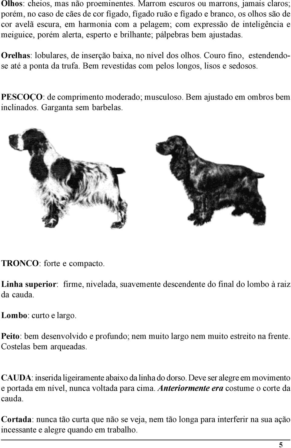 inteligência e meiguice, porém alerta, esperto e brilhante; pálpebras bem ajustadas. Orelhas: lobulares, de inserção baixa, no nível dos olhos. Couro fino, estendendose até a ponta da trufa.