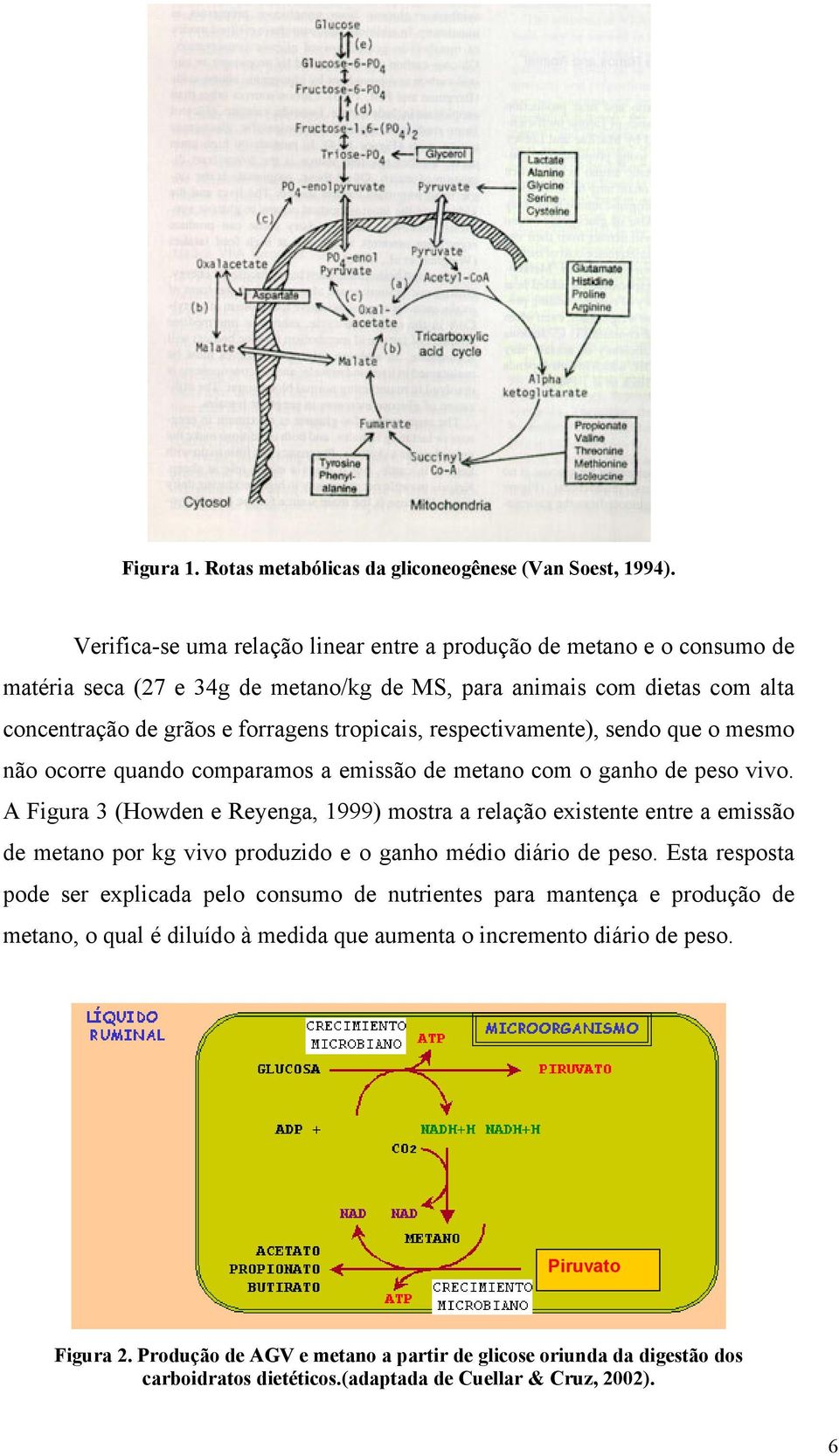 respectivamente), sendo que o mesmo não ocorre quando comparamos a emissão de metano com o ganho de peso vivo.