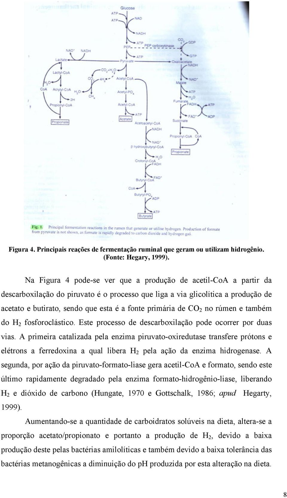 primária de CO 2 no rúmen e também do H 2 fosforoclástico. Este processo de descarboxilação pode ocorrer por duas vias.