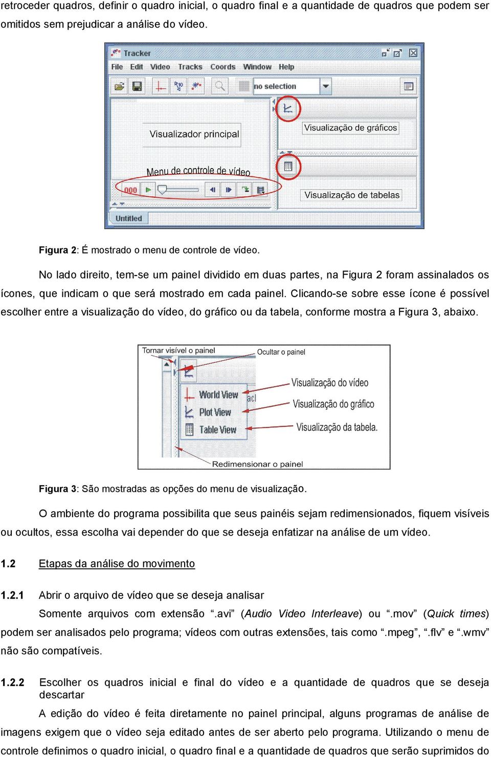 Clicando-se sobre esse ícone é possível escolher entre a visualização do vídeo, do gráfico ou da tabela, conforme mostra a Figura 3, abaixo. Figura 3: São mostradas as opções do menu de visualização.