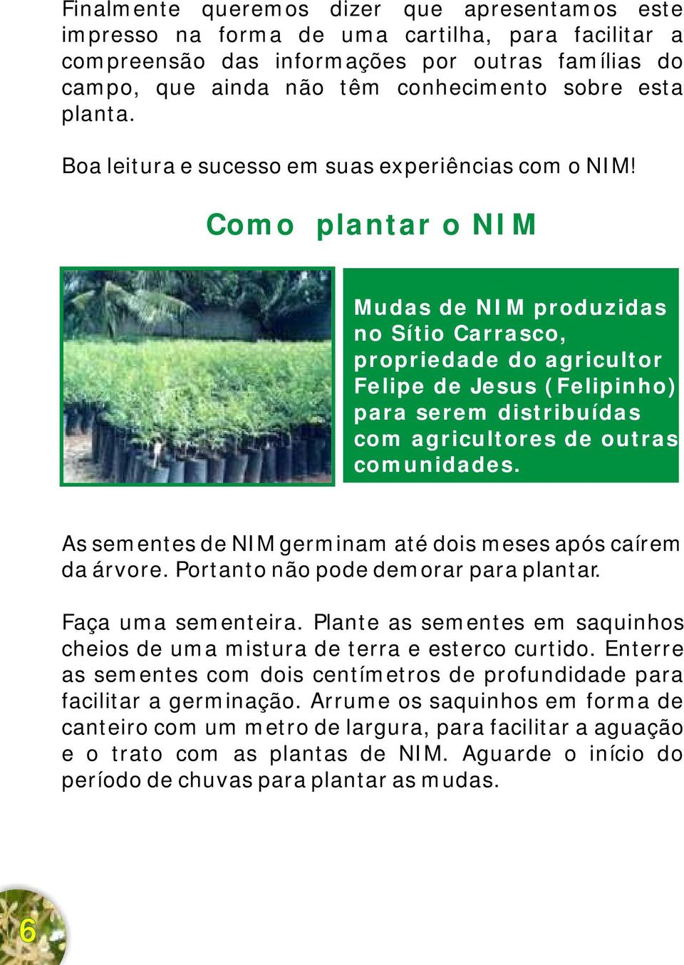 Como plantar o NIM Mudas de NIM produzidas no Sítio Carrasco, propriedade do agricultor Felipe de Jesus (Felipinho) para serem distribuídas com agricultores de outras comunidades.