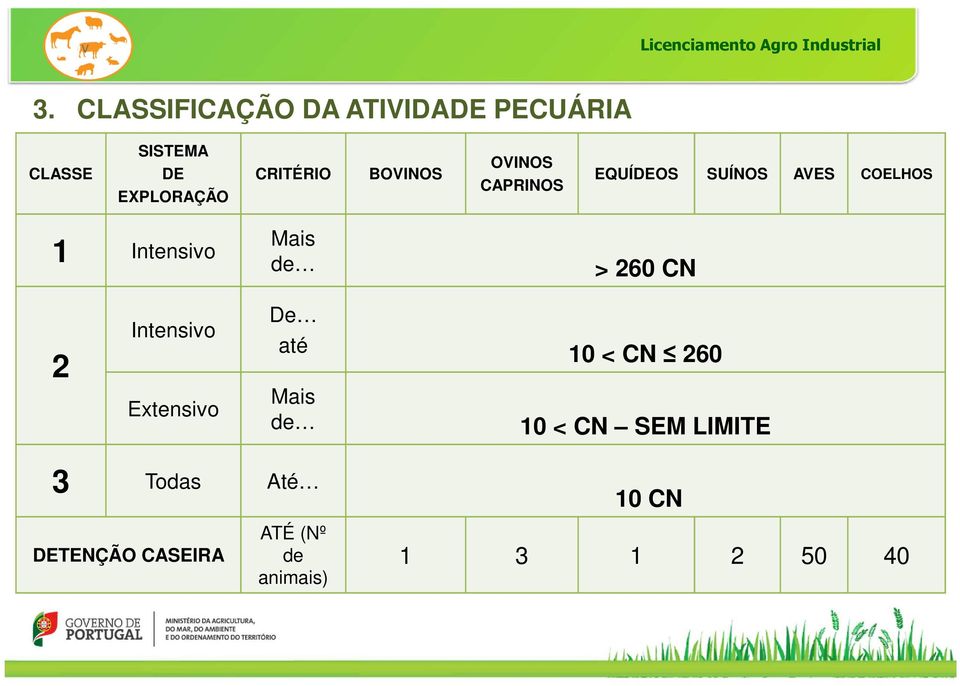 Mais de > 260 CN 2 Intensivo Extensivo De até 10 < CN 260 Mais de 10 < CN