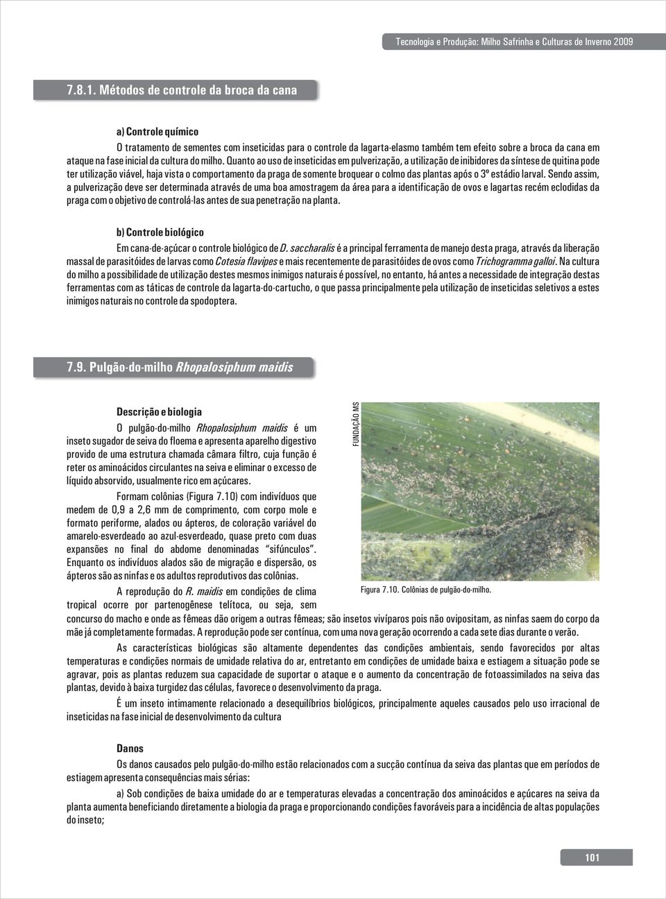 Quanto ao uso de inseticidas em pulverização, a utilização de inibidores da síntese de quitina pode ter utilização viável, haja vista o comportamento da praga de somente broquear o colmo das plantas