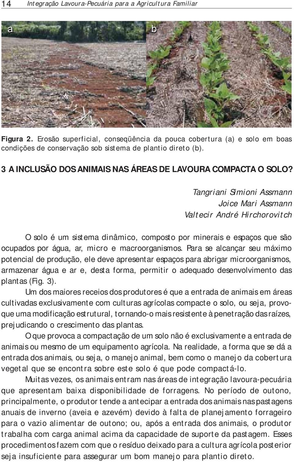 Tangriani Simioni Assmann Joice Mari Assmann Valtecir André Hirchorovitch O solo é um sistema dinâmico, composto por minerais e espaços que são ocupados por água, ar, micro e macroorganismos.