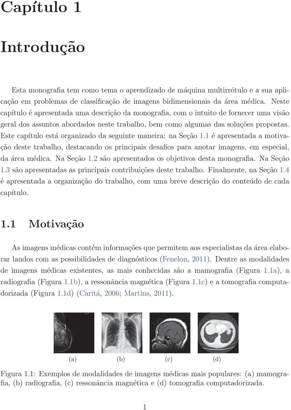 Este capítulo está organizado da seguinte maneira: na Seção 1.1 é apresentada a motivação deste trabalho, destacando os principais desafios para anotar imagens, em especial, da área médica.