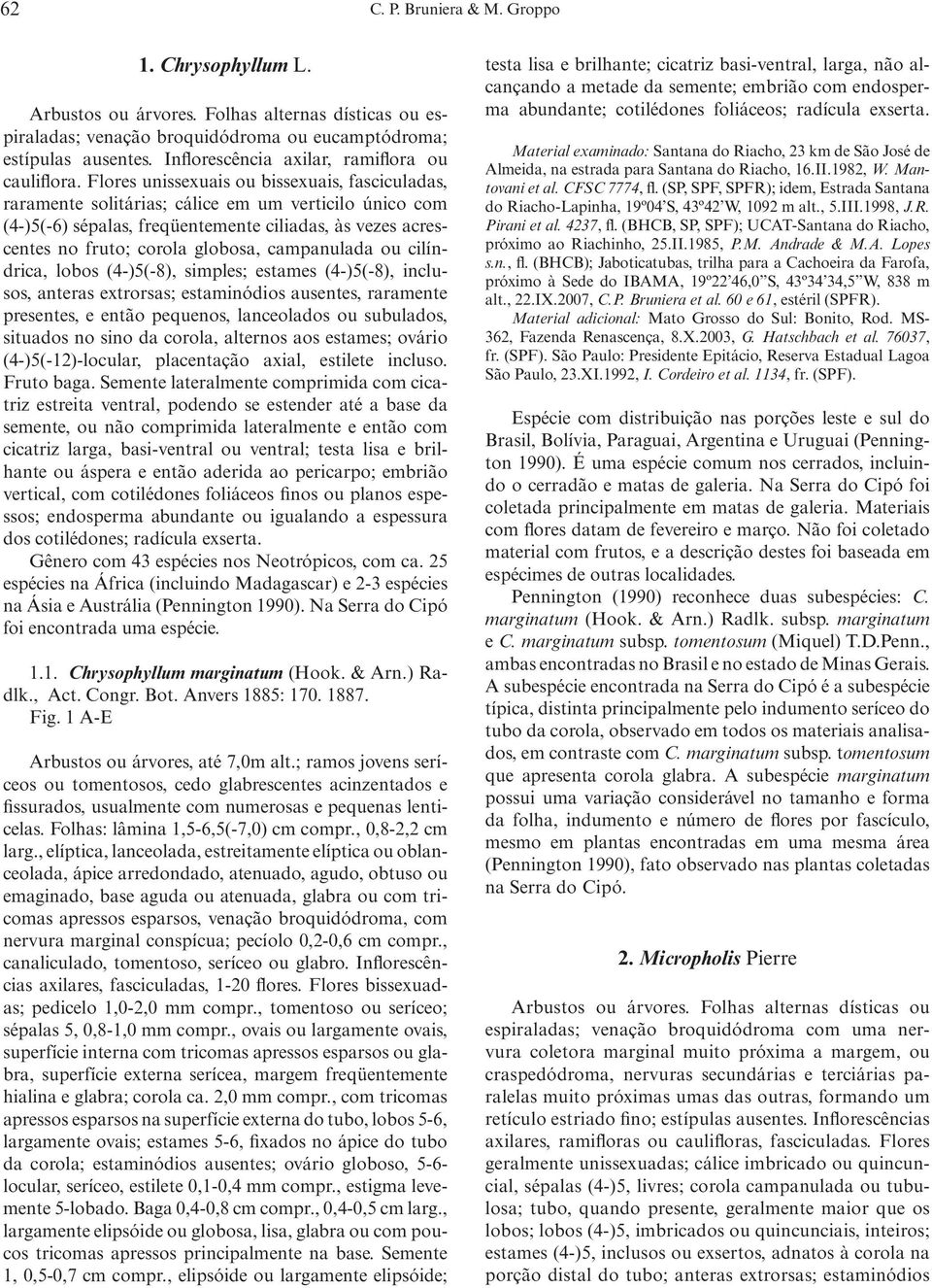 Flores unissexuais ou bissexuais, fasciculadas, raramente solitárias; cálice em um verticilo único com (4-)5(-6) sépalas, freqüentemente ciliadas, às vezes acrescentes no fruto; corola globosa,