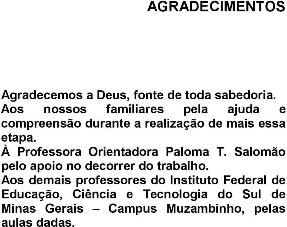 À Professora Orientadora Paloma T. Salomão pelo apoio no decorrer do trabalho.
