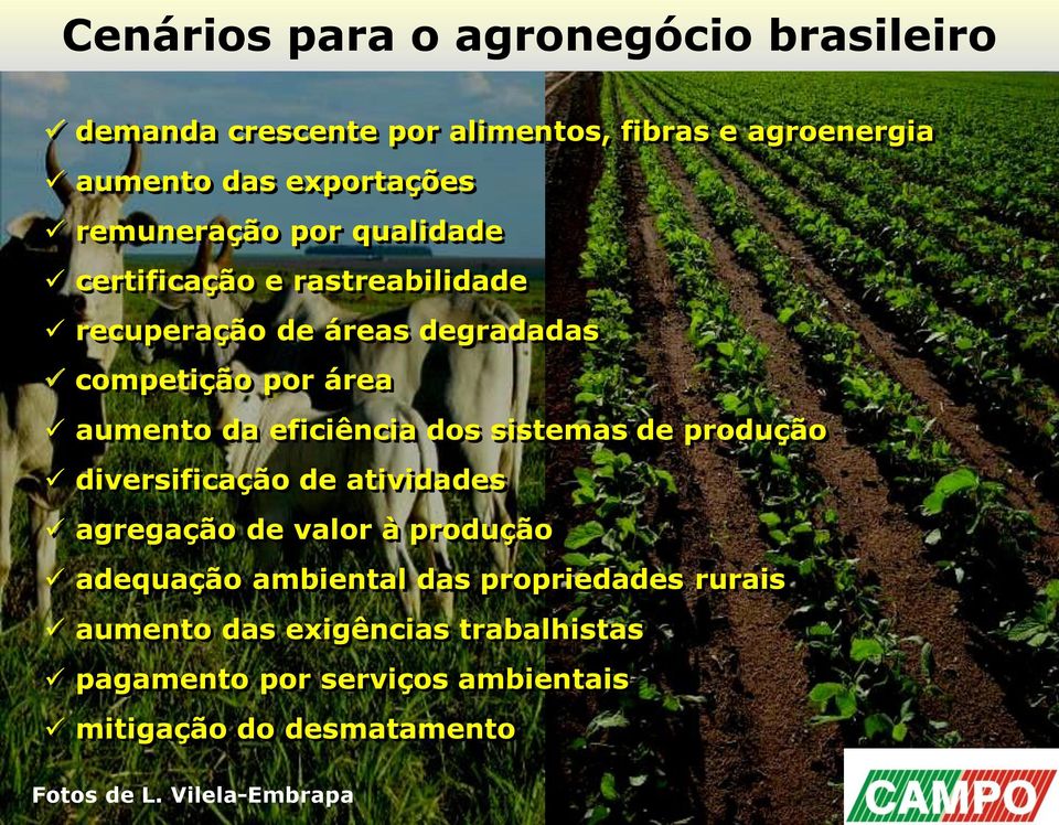 eficiência dos sistemas de produção diversificação de atividades agregação de valor à produção adequação ambiental das