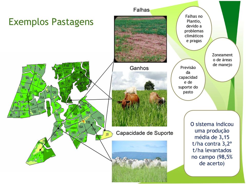 Zoneament o de áreas de manejo Capacidade de Suporte O sistema indicou